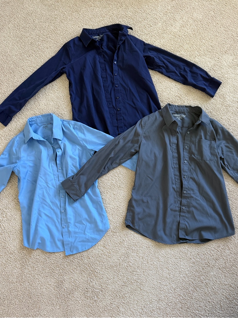 Cold Water Creek Button Down Blouses